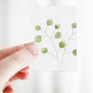 bloemenkaartje, groene eucalyptus