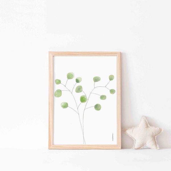 Poster CKP25 Eucalyptus groen