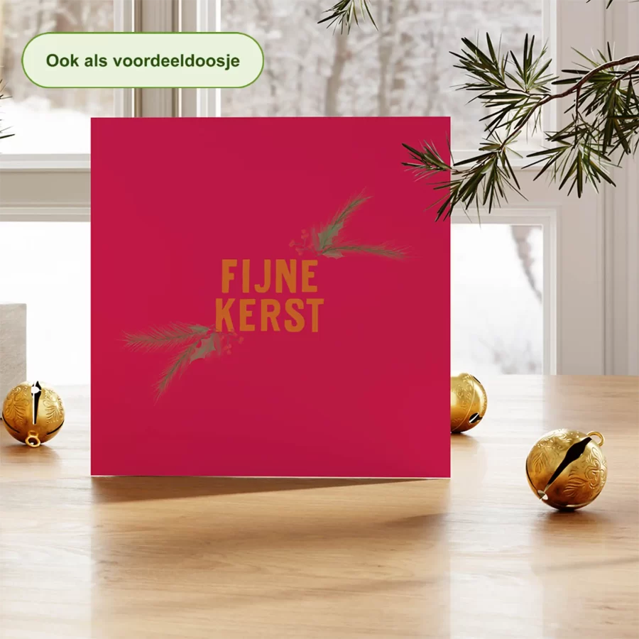 Kerstkaart tekst fijne kerst met hulsttakjes, roze en oranje - duurzame kerstkaart Grafiquelien