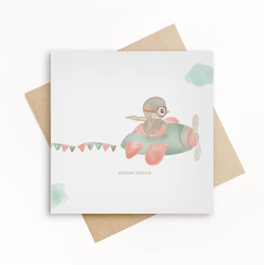 Eco-friendly geboortekaart met een geïllustreerde vogel in een vliegtuigje en de tekst welkom kleintje, op wit papier met kraft envelop.